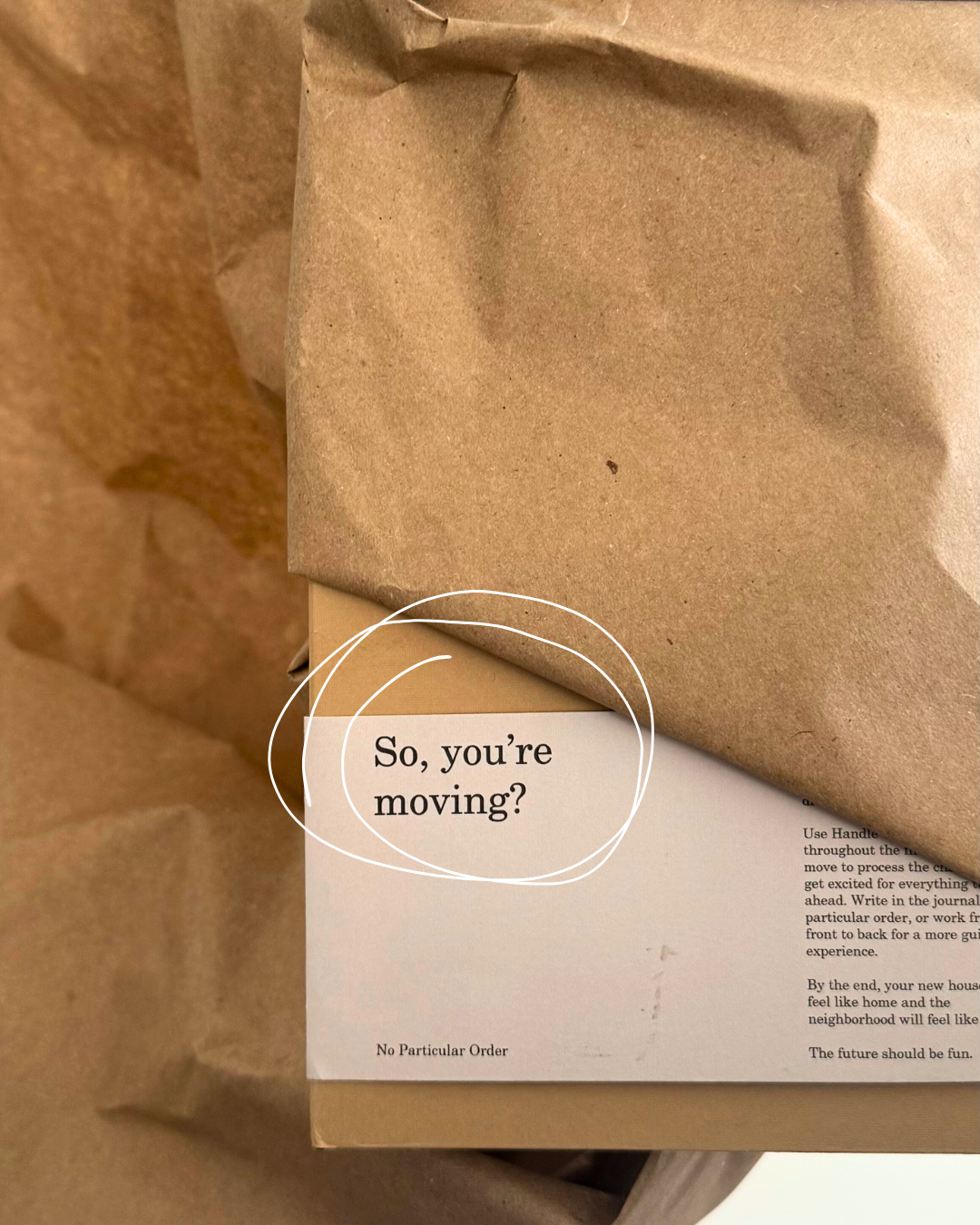 Elektrische Huisdierkam – Spray & Massage voor Katten en Honden 🐾