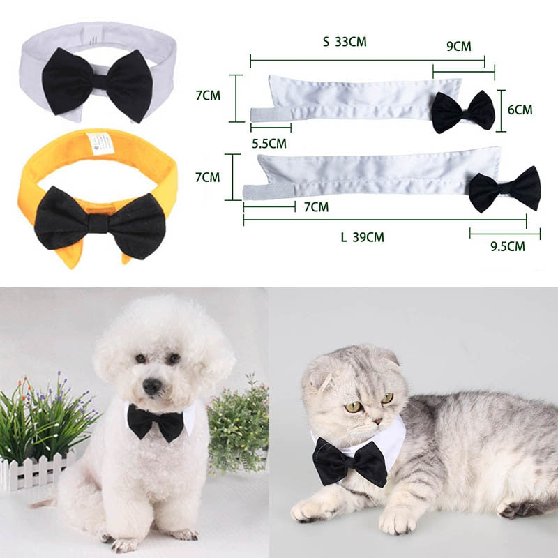 🐶🎀 Vlinderstrik voor Hond & Kat – Verstelbare Elegante Halsband