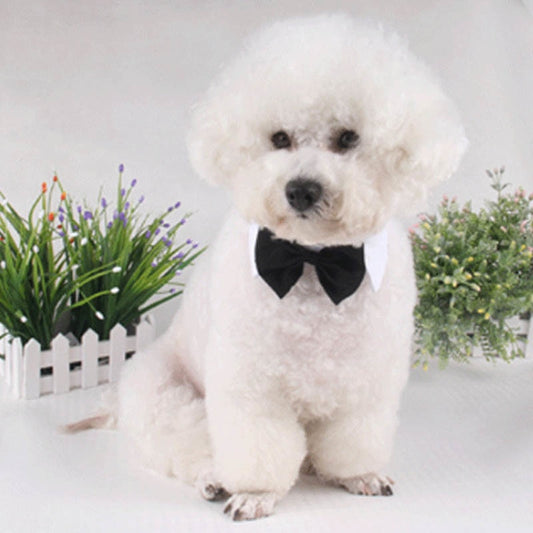 🐶🎀 Vlinderstrik voor Hond & Kat – Verstelbare Elegante Halsband